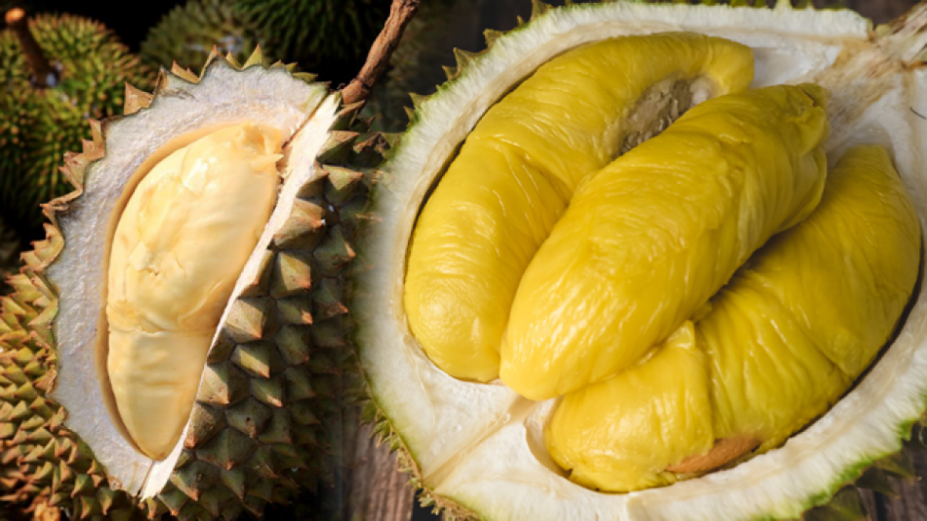 durian-meyvesinin-faydalari-nelerdir-durian-nasil-tuketilir-bql2gCKm.png