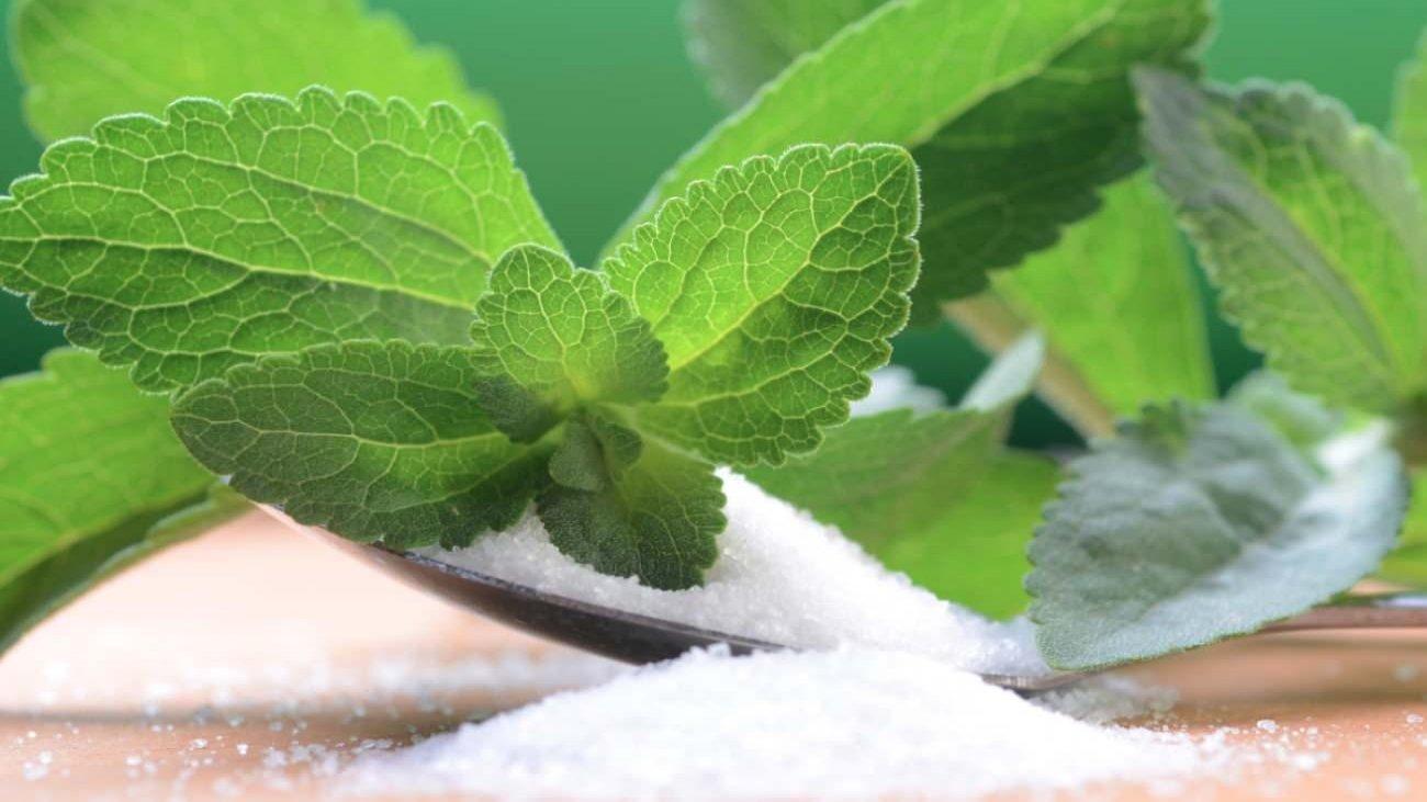 stevia-bitkisi-ne-ise-yarar-stevia-bitkisinin-faydalari-nelerdir-NQXiOajO.jpg